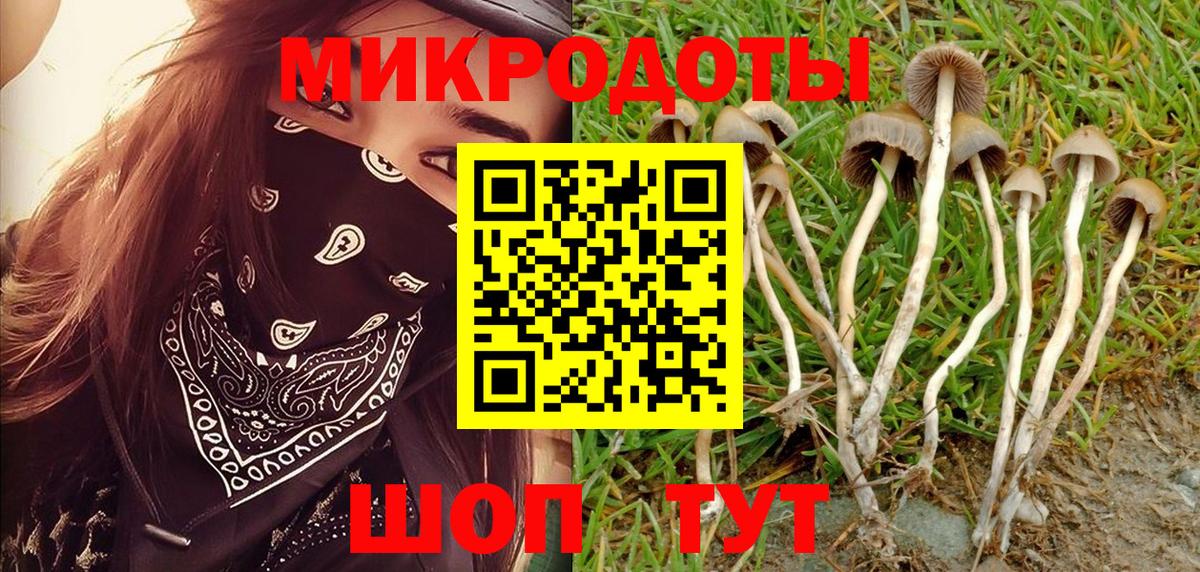 Псилоцибиновые грибы Magic Shrooms  Вход с VPN  Галлюциногенные грибы мухоморы  наркошоп  Фрязино 