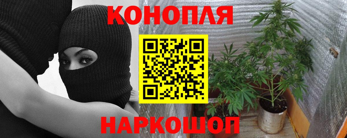 Шишки марихуана THC 21%  Шишки марихуана сатива  Каннабис план  Фрязино  Конопля SATIVA & INDICA  Вход с VPN 